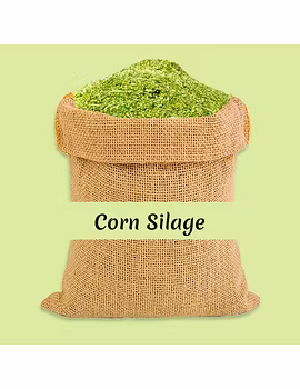 Corn Silage-Agri1182-sm