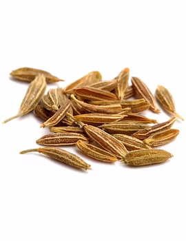 Cumin Seeds-Agri1222-sm