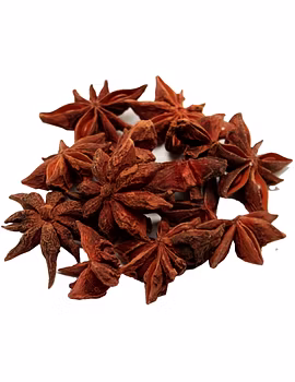 Star Anise-Agri1223-sm