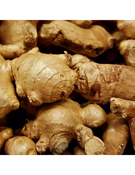 Dried Ginger-Agri1224-sm