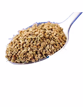Ajwan Seed-Agri1228-sm