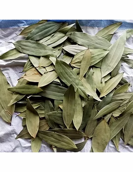 Tej Patta (Bay Leaves)-Agri1230-sm