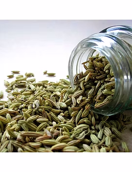 Fennel Seeds-Agri1233-sm