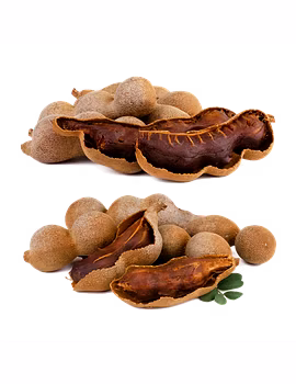 Tamarind Seeds-Agri1234-sm