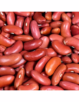Red Kidney/Rajma Beans-Agri1322-sm