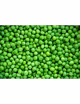 Green Peas-Agri1339-sm