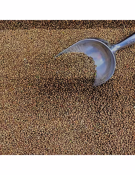 Moth Beans-Agri1345-sm