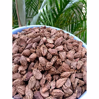 large cardamom-12181524