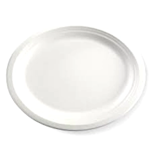 DISPOSABLES & BIODEGRADABLES