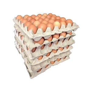 EGGS