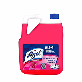 reckitt lizol disinfectant surface & floor cleaner liquid, floral - 5 l