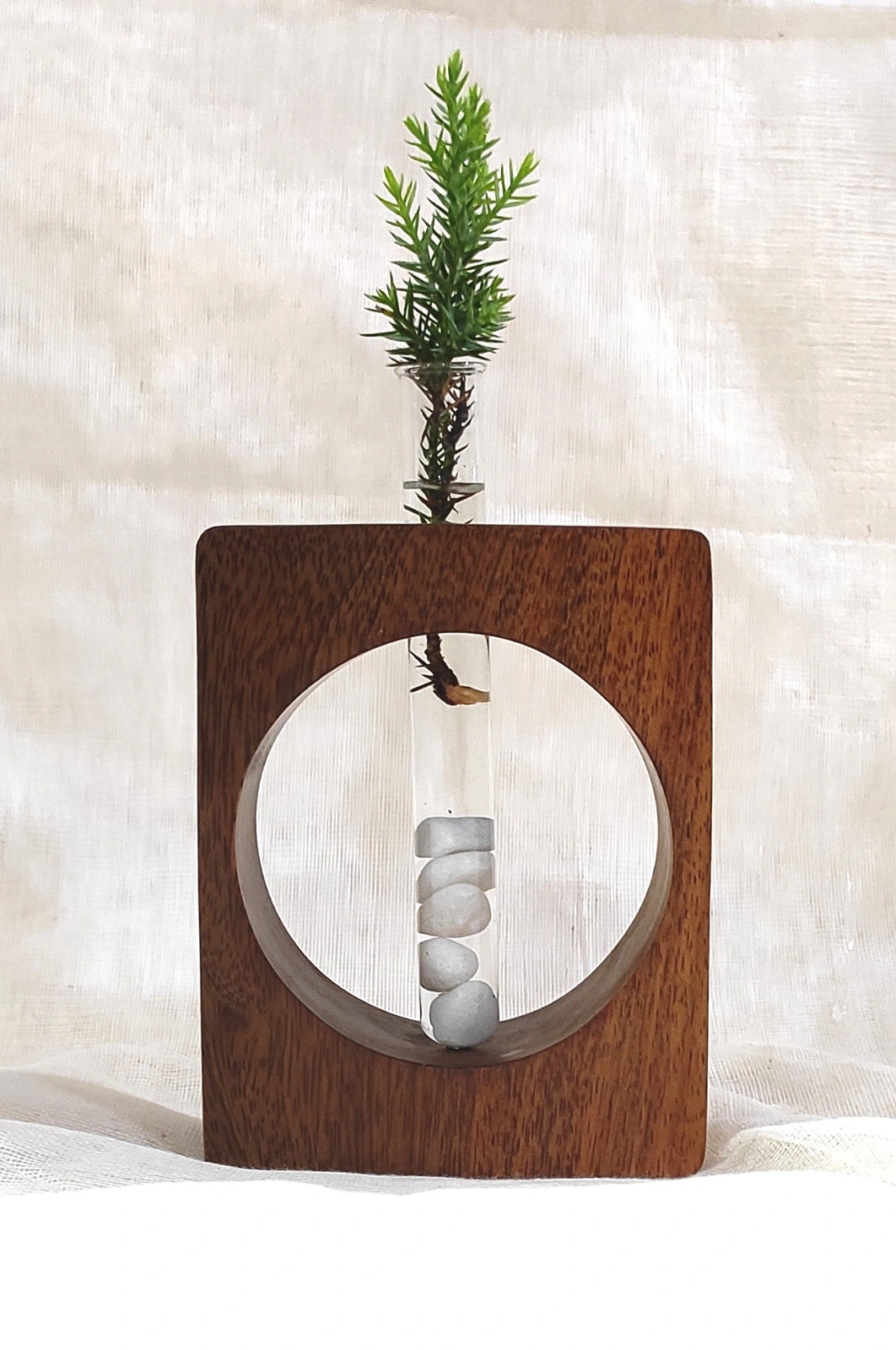 Nature's Rebirth: Wooden Test Tube Propagation Vase-12179576