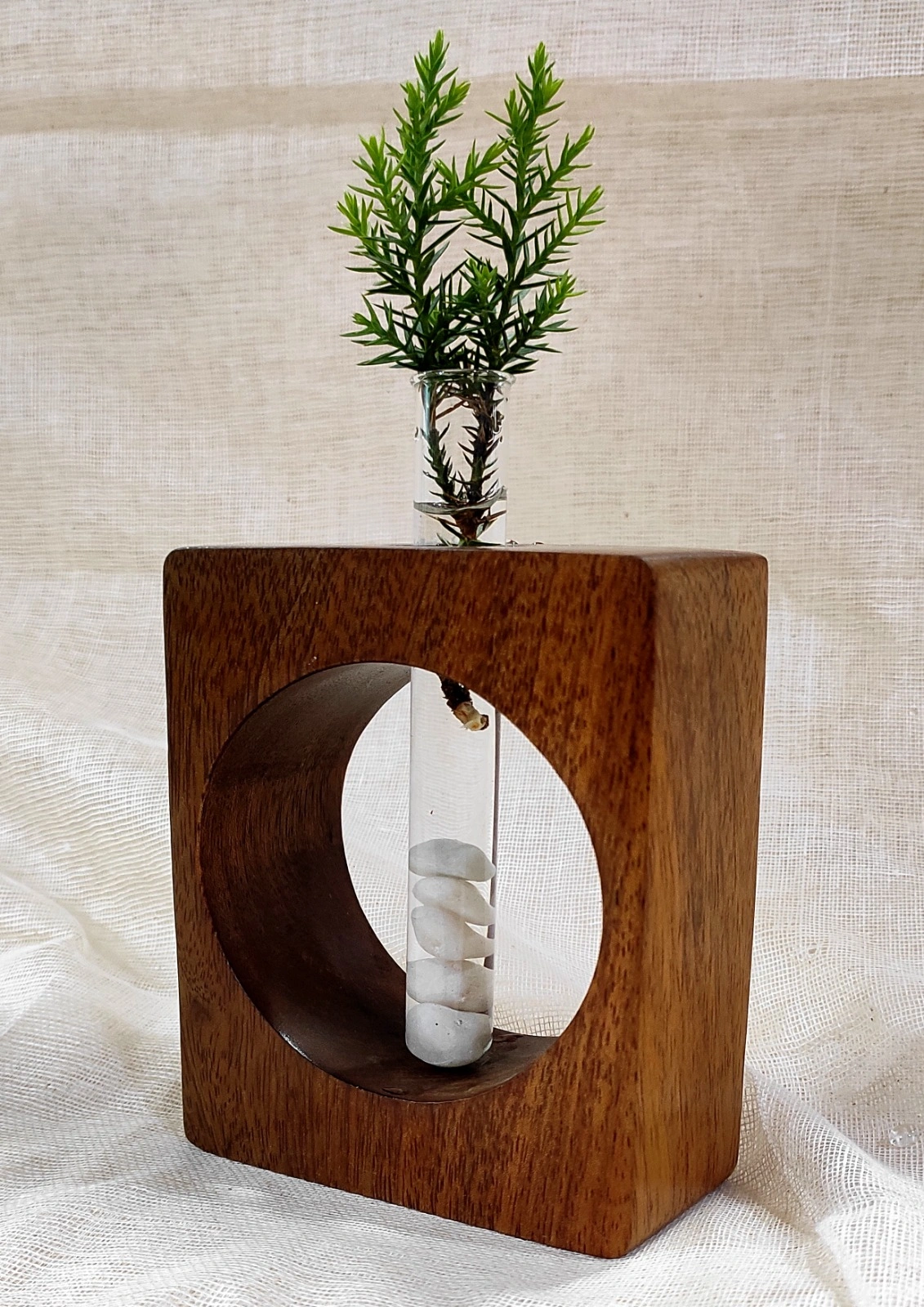 Nature's Rebirth: Wooden Test Tube Propagation Vase-2