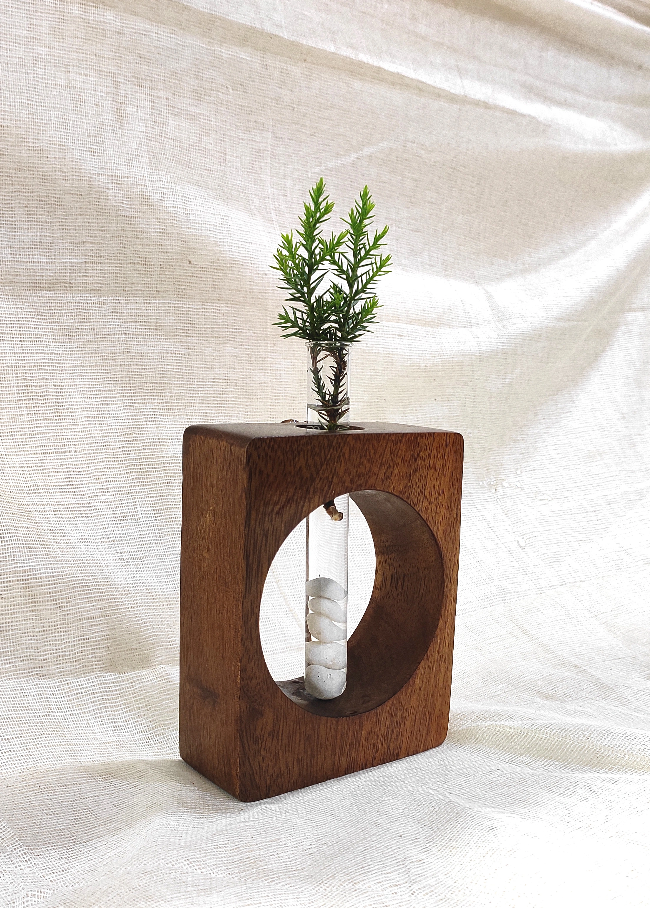 Nature's Rebirth: Wooden Test Tube Propagation Vase-1