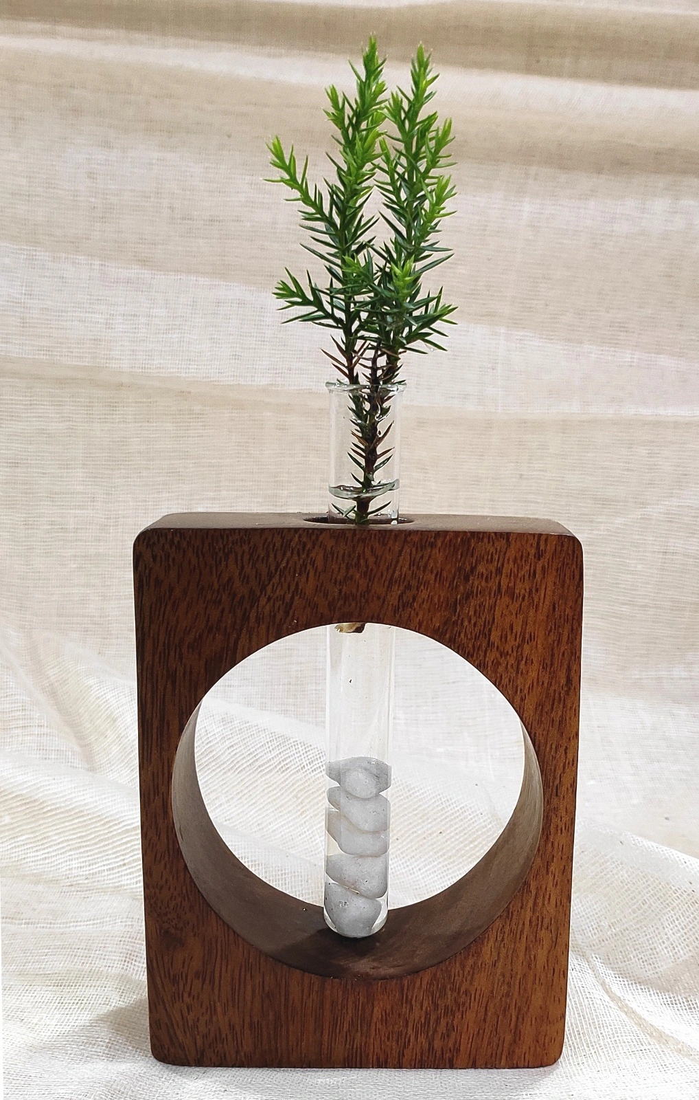 Nature's Rebirth: Wooden Test Tube Propagation Vase-3