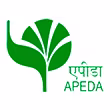 APEDA Certificate