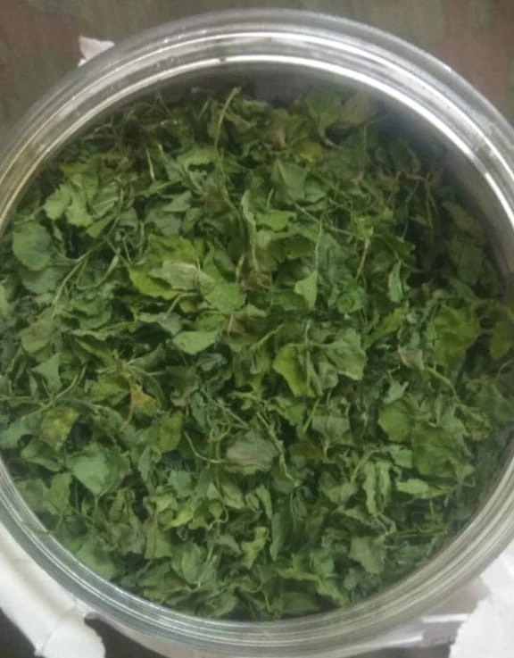 Fenugreek Leaves ( Kasuri Methi) premium-12522548