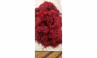 Organic Saffron Mogra