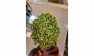 Green cardamom