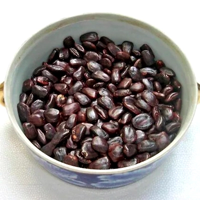 Saanvee overseas Tamarind seeds