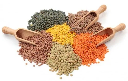 Organic Pulses-12466706