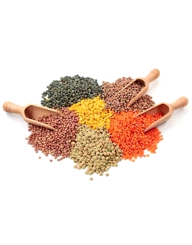 Organic Pulses