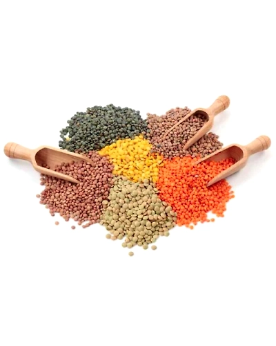 Organic Pulses-12466706