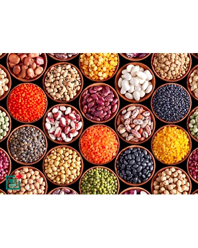 Organic Pulses-2