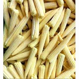 baby corn a-grade export quality