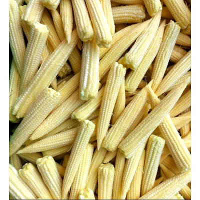 baby corn a-grade export quality