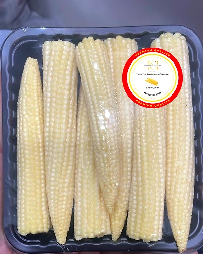 Baby Corn A-Grade Export Quality-3
