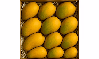 Export Quality Jumbo Kesar Mango
