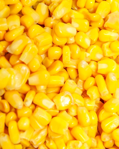 Frozen Sweet Corn Kernels-2