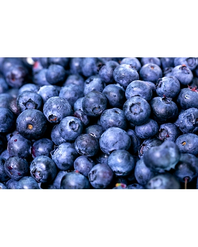 Export Quality Blueberries-1