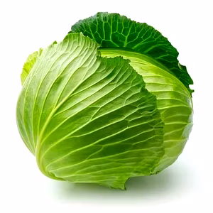 Export Quality Cabbage