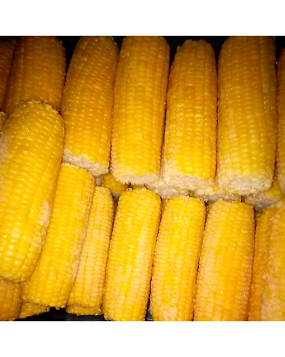 Frozen Corn on Cob-2