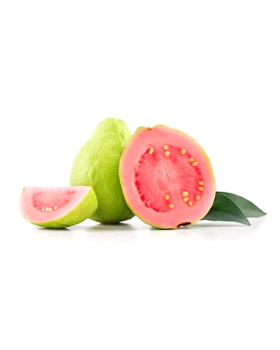 Export Quality Guava-1