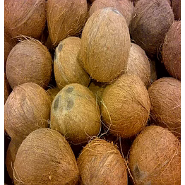 fully husked coconuts