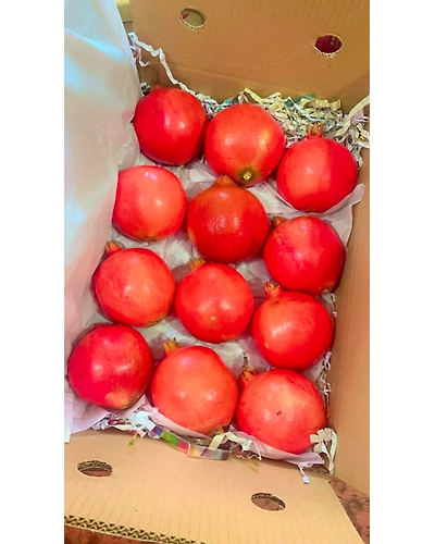 Pomegranate-2