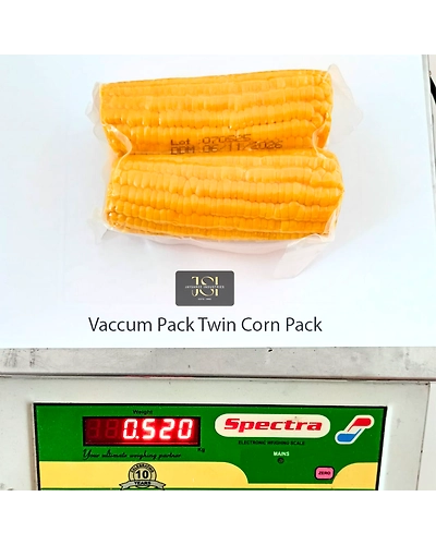 Vacuum Packet Corn On The Cob-12742339
