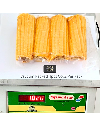 Vacuum Packet Corn On The Cob-1