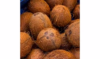 Fully Husked Coconuts