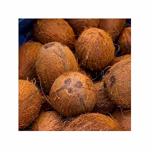 Fully Husked Coconuts