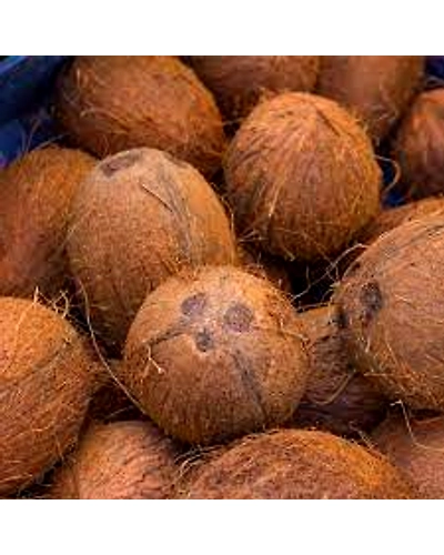 Fully Husked Coconuts-12742113