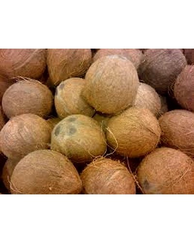 Fully Husked Coconuts-1