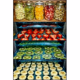 agriamps® dehydrated fruits & vegetables