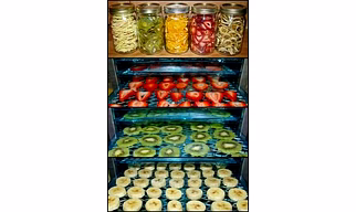 Dehydrated Fruits & Vegetables