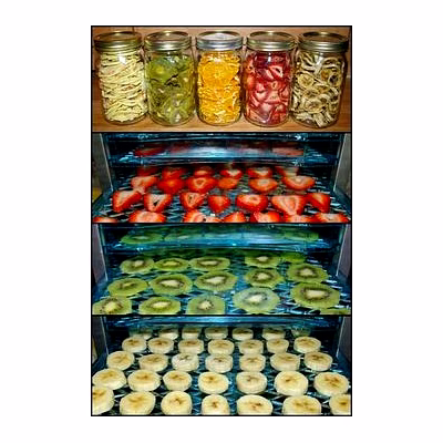 agriamps® dehydrated fruits & vegetables