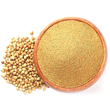 Premium Coriander Powder-12717537