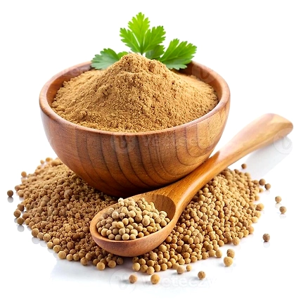 Premium Coriander Powder-1